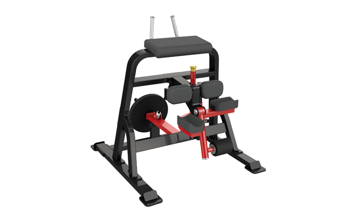 STANDING LEG CURL