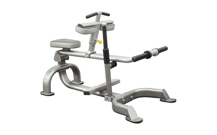 SEATED CALF RAISE