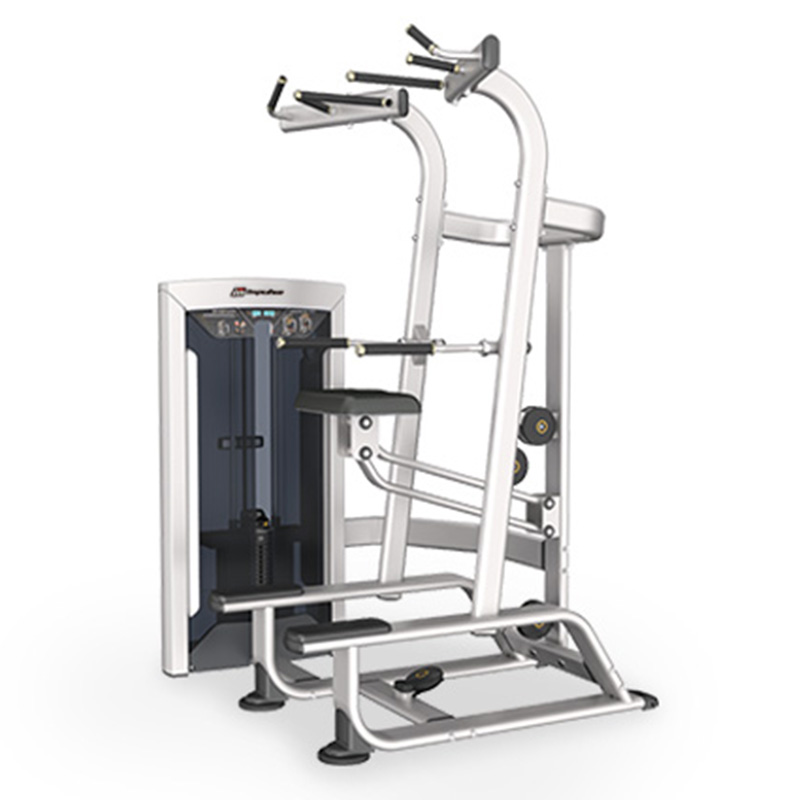 Impulse FE9720  Weight Assisted Chin/Dip Combo