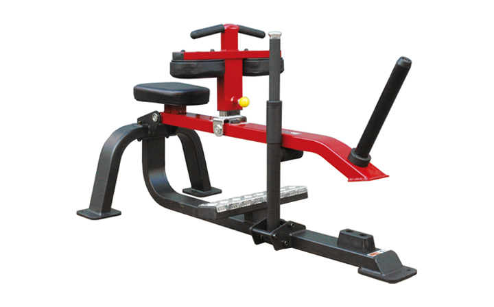 SEATED CALF RAISE