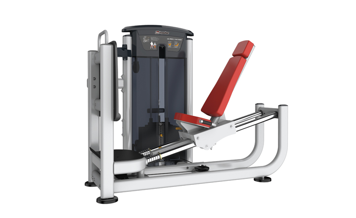 LEG PRESS