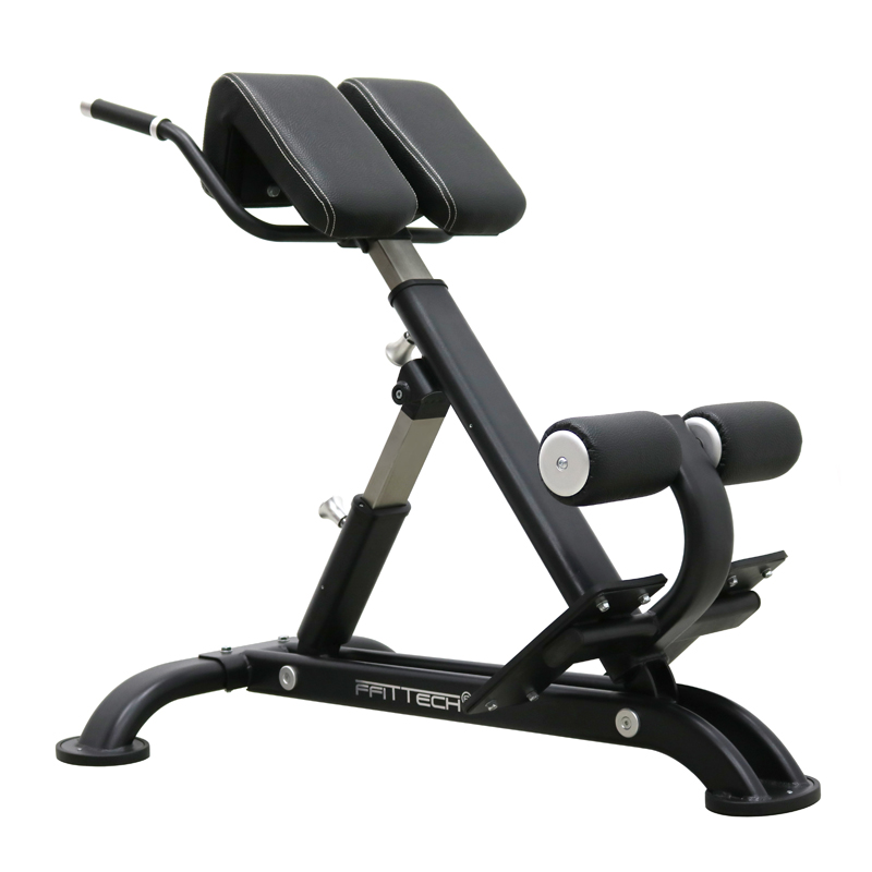 Lower Back Bench